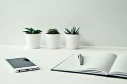 Photo by Ylanite Koppens from Pexels: https://www.pexels.com/photo/three-white-ceramic-pots-with-green-leaf-plants-near-open-notebook-with-click-pen-on-top-796602/