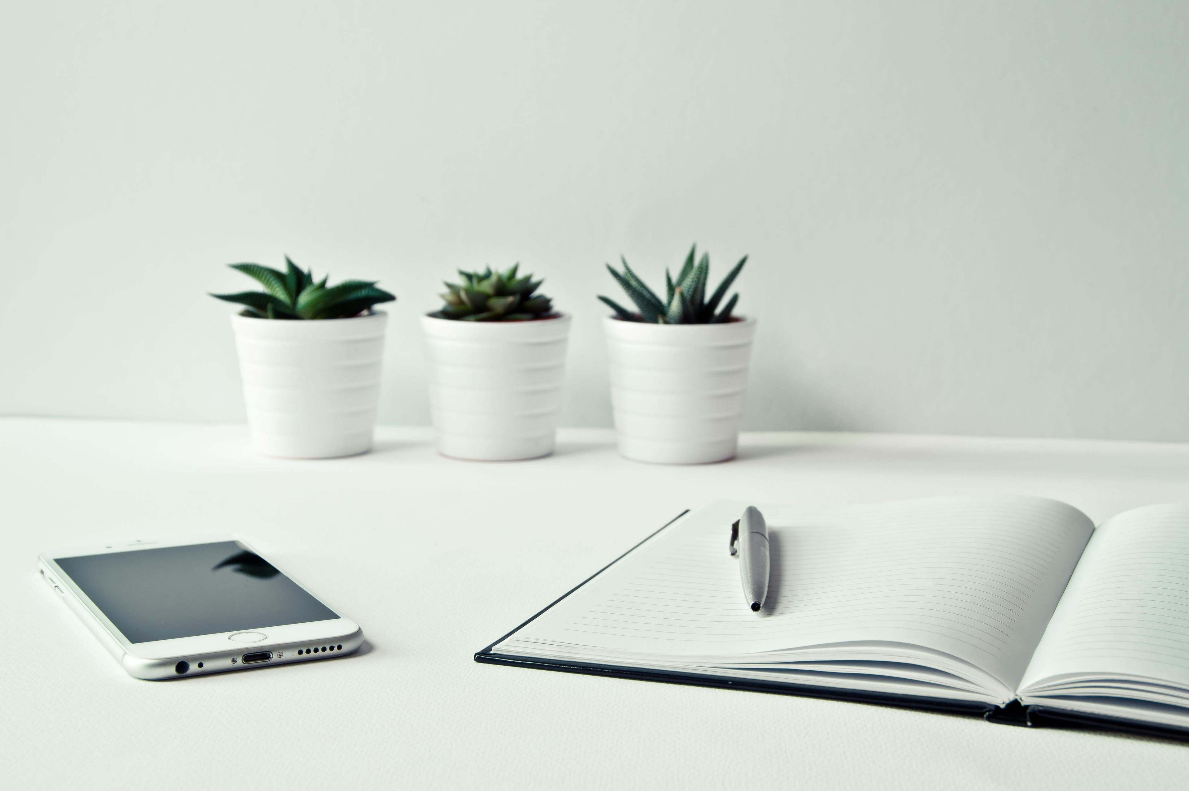 Photo by Ylanite Koppens from Pexels: https://www.pexels.com/photo/three-white-ceramic-pots-with-green-leaf-plants-near-open-notebook-with-click-pen-on-top-796602/