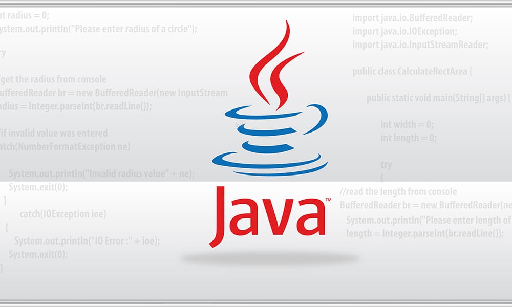 java log