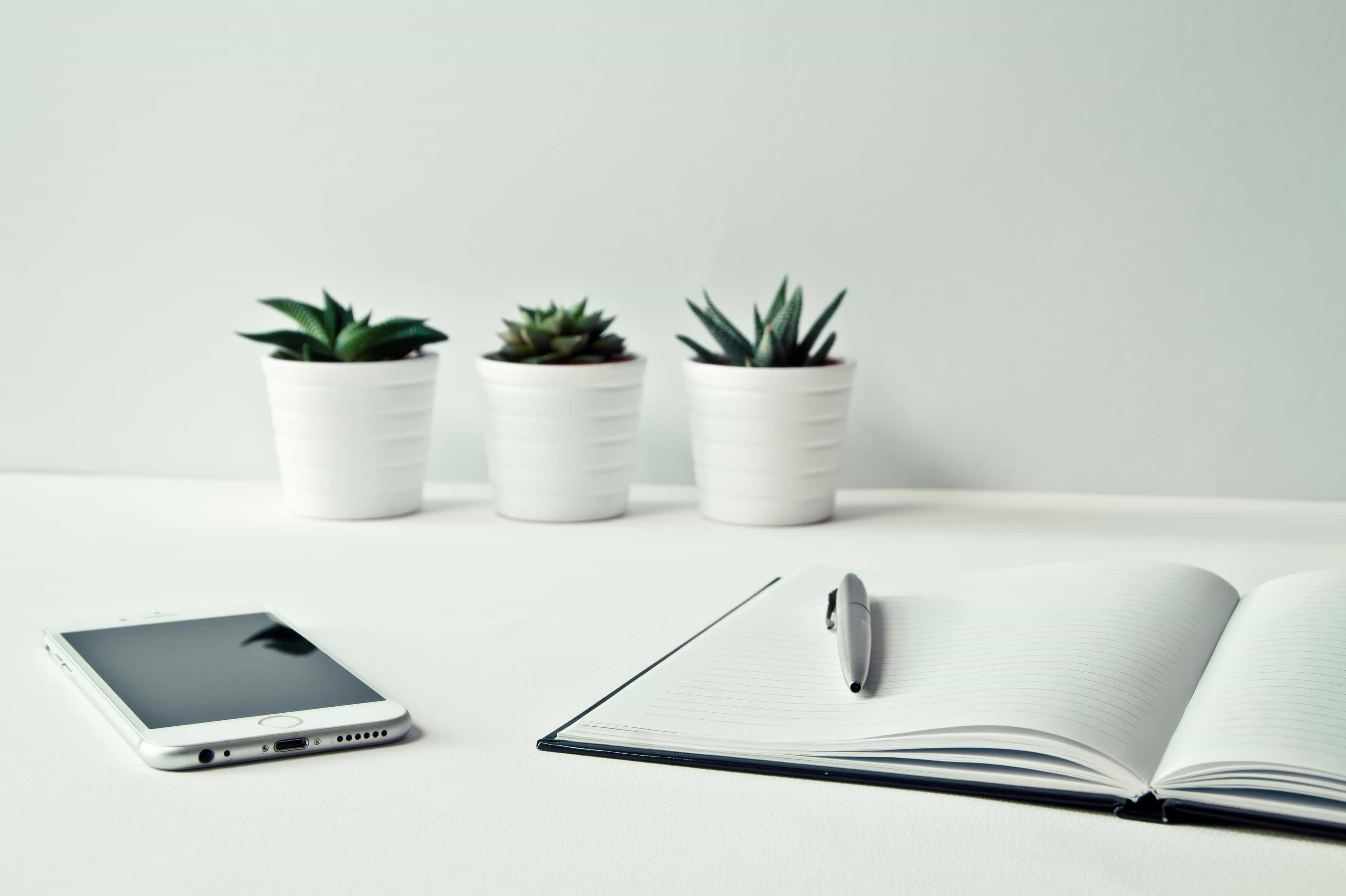 Photo by Ylanite Koppens from Pexels: https://www.pexels.com/photo/three-white-ceramic-pots-with-green-leaf-plants-near-open-notebook-with-click-pen-on-top-796602/